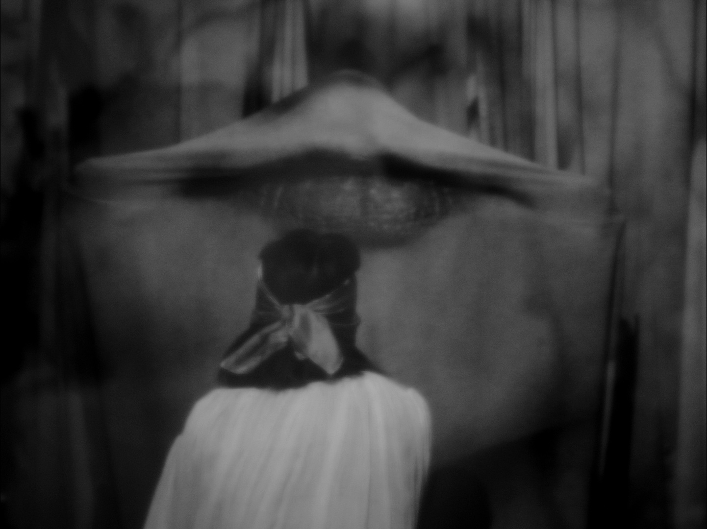 Faye-Formisano-Insemnopedy I : The Dream of Victor F.